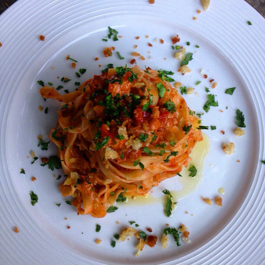 11311432_485492748290374_352993275_n